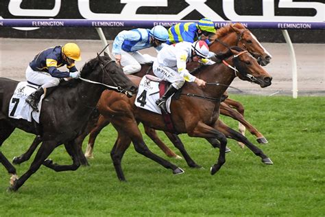 Danehill Stakes Field – 2021 .